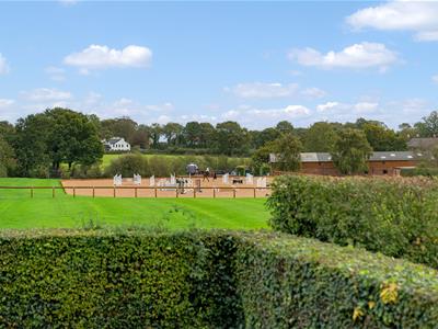 Picture 29